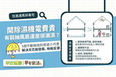 地下室潮濕改善|家裡太潮濕又不通風？5招居家改造解決發霉、反潮，。